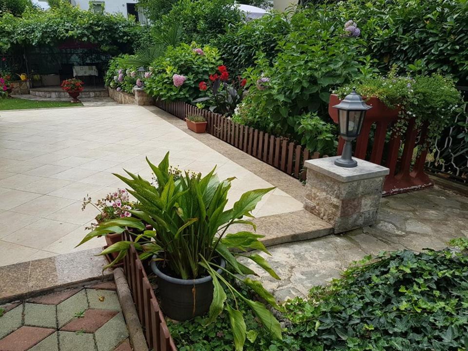 Villa Diana Apartments Пореч Экстерьер фото